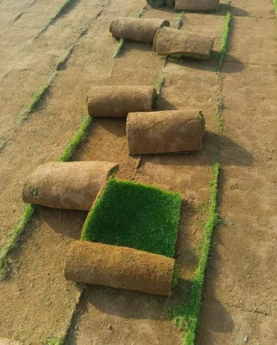 WhatsApp Image 2025-05-14 at 13.53.27_77b03025