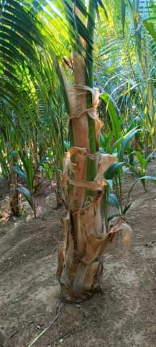 WhatsApp Image 2025-05-15 at 16.58.36_b6ad259e