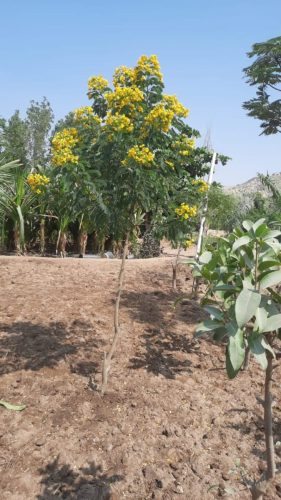 WhatsApp Image 2025-05-15 at 16.58.39_f1097aff