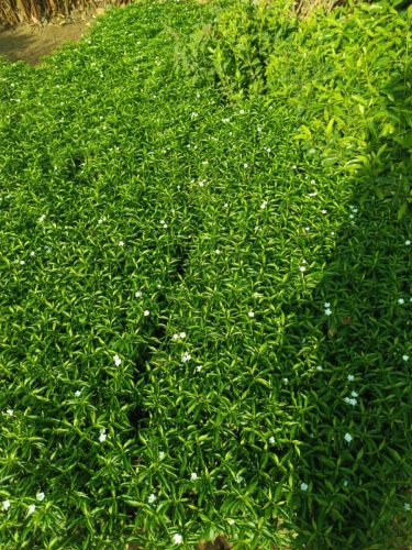 WhatsApp Image 2025-05-15 at 16.58.41_8562a3be