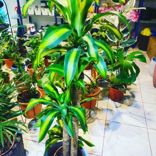 WhatsApp Image 2025-05-15 at 16.58.43_470a655e