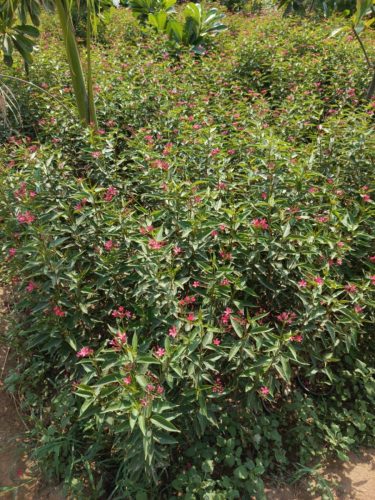 WhatsApp Image 2025-05-15 at 16.58.44_8388d5e2