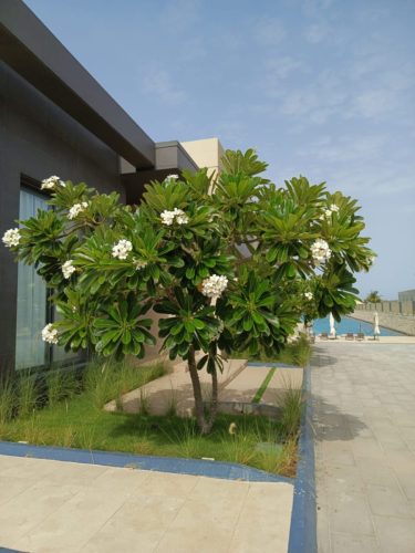 WhatsApp Image 2025-05-15 at 16.58.45_321b74cd