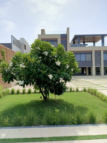 WhatsApp Image 2025-05-15 at 16.58.45_f31289dd